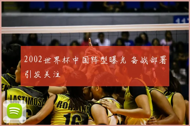 2002世界杯中国阵型曝光 备战部署引发关注